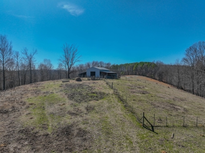 Secluded Cabin For Sale With Shop & Barn Deer & Turkey Hunt - image 30