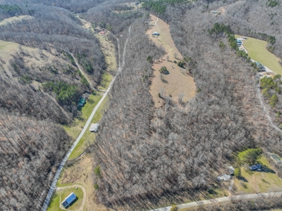 Secluded Cabin For Sale With Shop & Barn Deer & Turkey Hunt - image 27