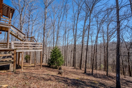 Secluded Cabin For Sale With Shop & Barn Deer & Turkey Hunt - image 41
