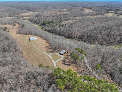 Secluded Cabin For Sale With Shop & Barn Deer & Turkey Hunt - image 23