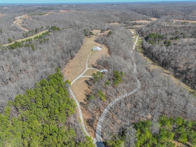 Secluded Cabin For Sale With Shop & Barn Deer & Turkey Hunt - image 22