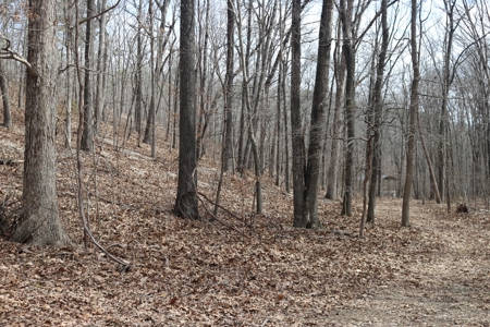Cave Property For Sale in the Ozarks - image 30