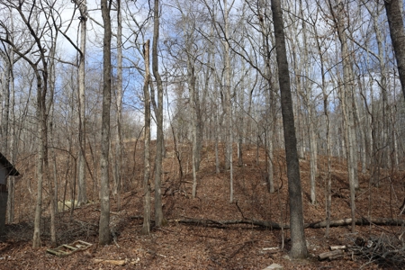 Cave Property For Sale in the Ozarks - image 25