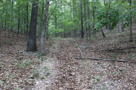 Cave Property For Sale in the Ozarks - image 20