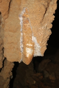 Cave Property For Sale in the Ozarks - image 11