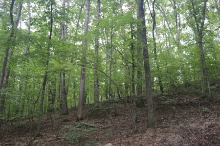 Cave Property For Sale in the Ozarks - image 16