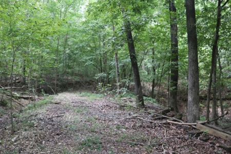 Cave Property For Sale in the Ozarks - image 17