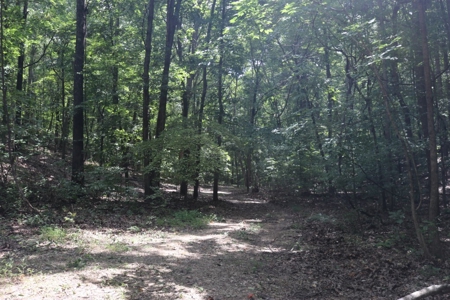 Cave Property For Sale in the Ozarks - image 19