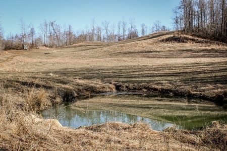 Stoney Mountain Farm – 559 Acres of Pristine Northern VA - image 14