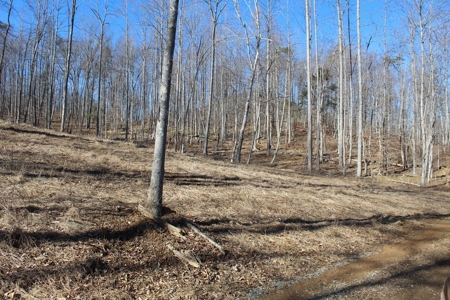Stoney Mountain Farm – 559 Acres of Pristine Northern VA - image 5
