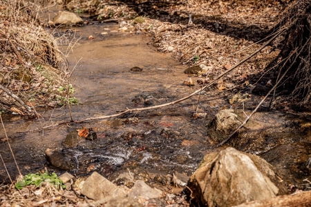 Stoney Mountain Farm – 559 Acres of Pristine Northern VA - image 8