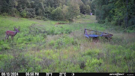 Stoney Mountain Farm – 559 Acres of Pristine Northern VA - image 25