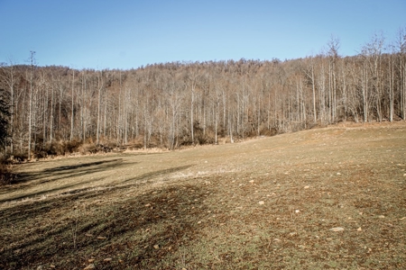 Stoney Mountain Farm – 559 Acres of Pristine Northern VA - image 13