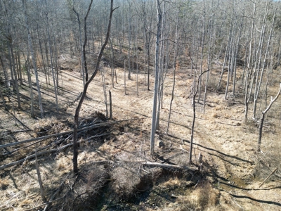 Stoney Mountain Farm – 559 Acres of Pristine Northern VA - image 3