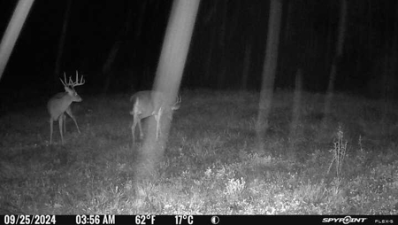 Stoney Mountain Farm – 559 Acres of Pristine Northern VA - image 38