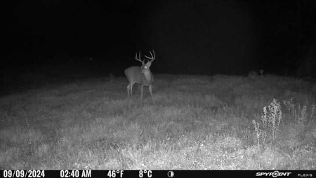 Stoney Mountain Farm – 559 Acres of Pristine Northern VA - image 31