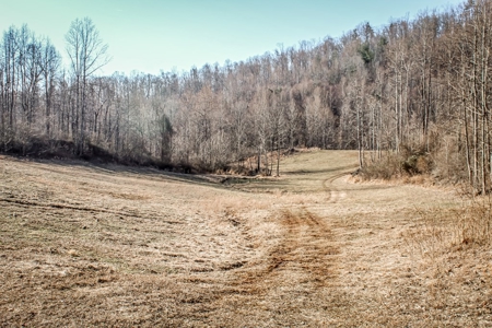Stoney Mountain Farm – 559 Acres of Pristine Northern VA - image 11