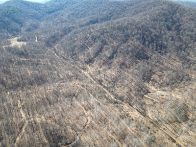 Stoney Mountain Farm – 559 Acres of Pristine Northern VA - image 4