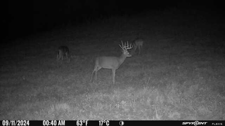 Stoney Mountain Farm – 559 Acres of Pristine Northern VA - image 22