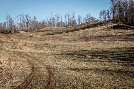 Stoney Mountain Farm – 559 Acres of Pristine Northern VA - image 12
