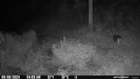 Stoney Mountain Farm – 559 Acres of Pristine Northern VA - image 30