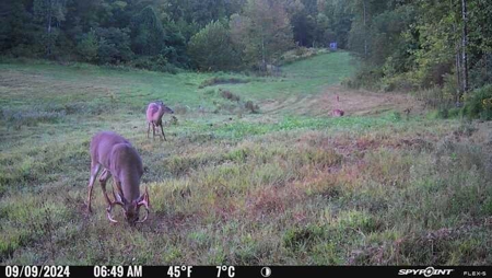 Stoney Mountain Farm – 559 Acres of Pristine Northern VA - image 32