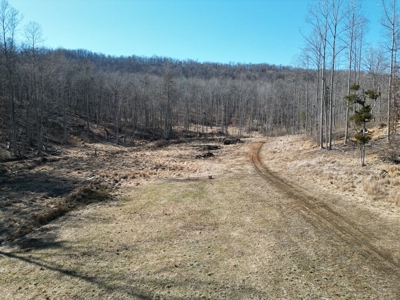 Stoney Mountain Farm – 559 Acres of Pristine Northern VA - image 2