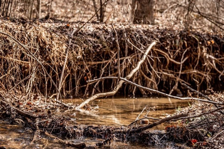 Stoney Mountain Farm – 559 Acres of Pristine Northern VA - image 9