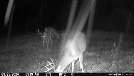 Stoney Mountain Farm – 559 Acres of Pristine Northern VA - image 21