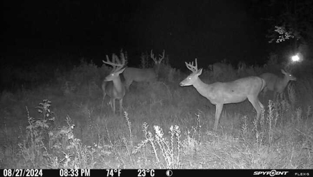 Stoney Mountain Farm – 559 Acres of Pristine Northern VA - image 36