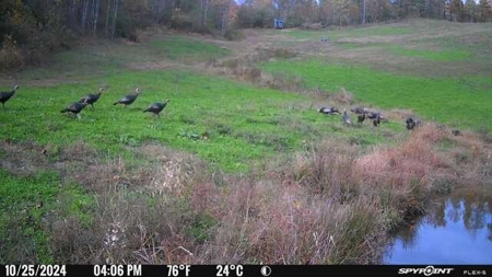 Stoney Mountain Farm – 559 Acres of Pristine Northern VA - image 35