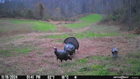 Stoney Mountain Farm – 559 Acres of Pristine Northern VA - image 28
