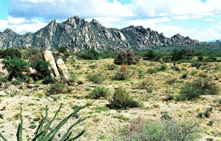 38.8+ acre lot in Saint David AZ - image 2