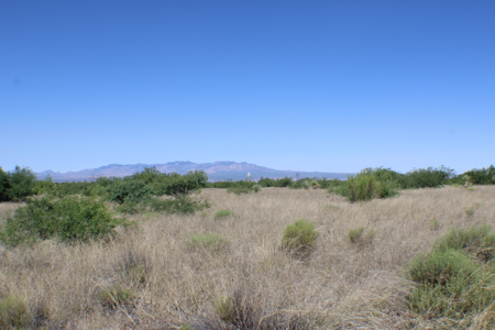 38.8+ acre lot in Saint David AZ - image 4
