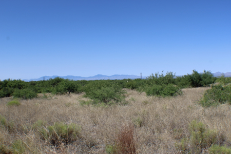 38.8+ acre lot in Saint David AZ - image 3