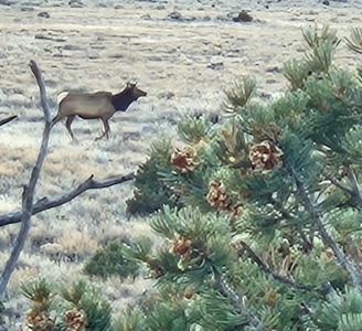 Northern New Mexico Land for Sale near Taos, NM - image 1