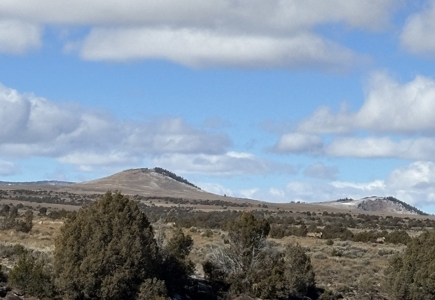 Northern New Mexico Land for Sale near Taos, NM - image 3