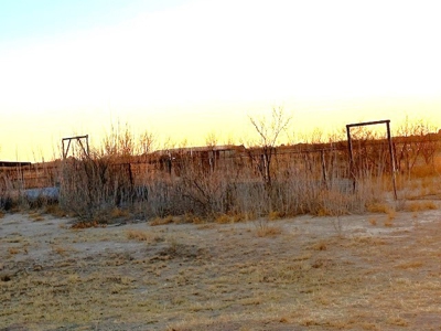 Country Living W Texas! 69.6 Ac Ranch Fort Stockton Pecos Co - image 15