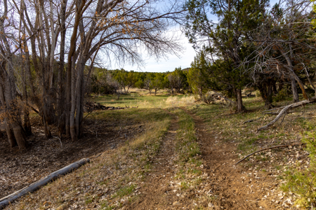 Horsefly Ranch for Sale Montrose Colorado - image 19