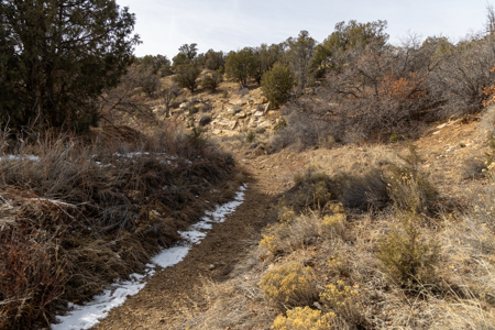 Horsefly Ranch for Sale Montrose Colorado - image 2