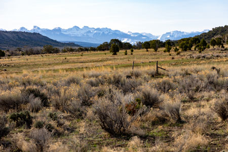 Horsefly Ranch for Sale Montrose Colorado - image 11