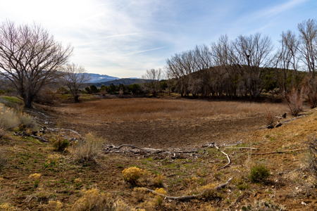 Horsefly Ranch for Sale Montrose Colorado - image 17