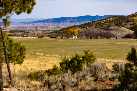 Horsefly Ranch for Sale Montrose Colorado - image 16