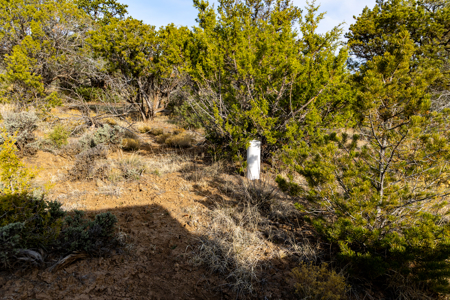 Horsefly Ranch for Sale Montrose Colorado - image 27
