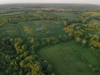 125+/- Acres | Combination Farm with Timber, Pasture & Hunting Potential - image 16