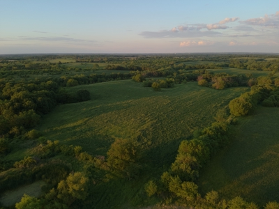 125+/- Acres | Combination Farm with Timber, Pasture & Hunting Potential - image 8
