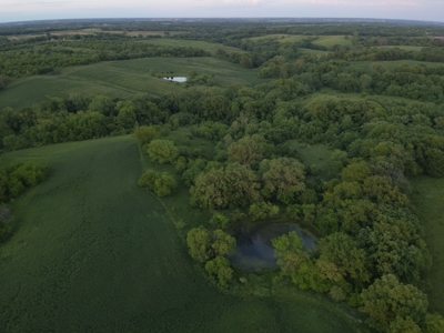 125+/- Acres | Combination Farm with Timber, Pasture & Hunting Potential - image 1