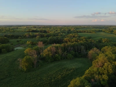 125+/- Acres | Combination Farm with Timber, Pasture & Hunting Potential - image 2