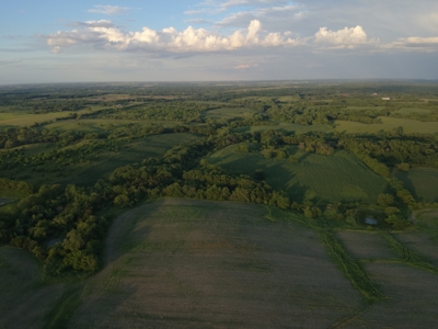125+/- Acres | Combination Farm with Timber, Pasture & Hunting Potential - image 4
