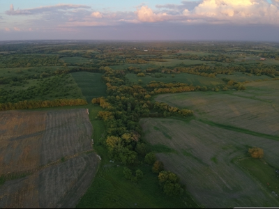 125+/- Acres | Combination Farm with Timber, Pasture & Hunting Potential - image 15